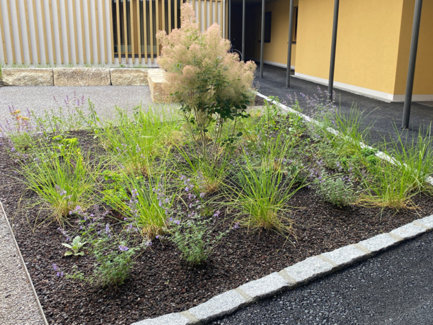 Substrat bacs de plantation – Image 3