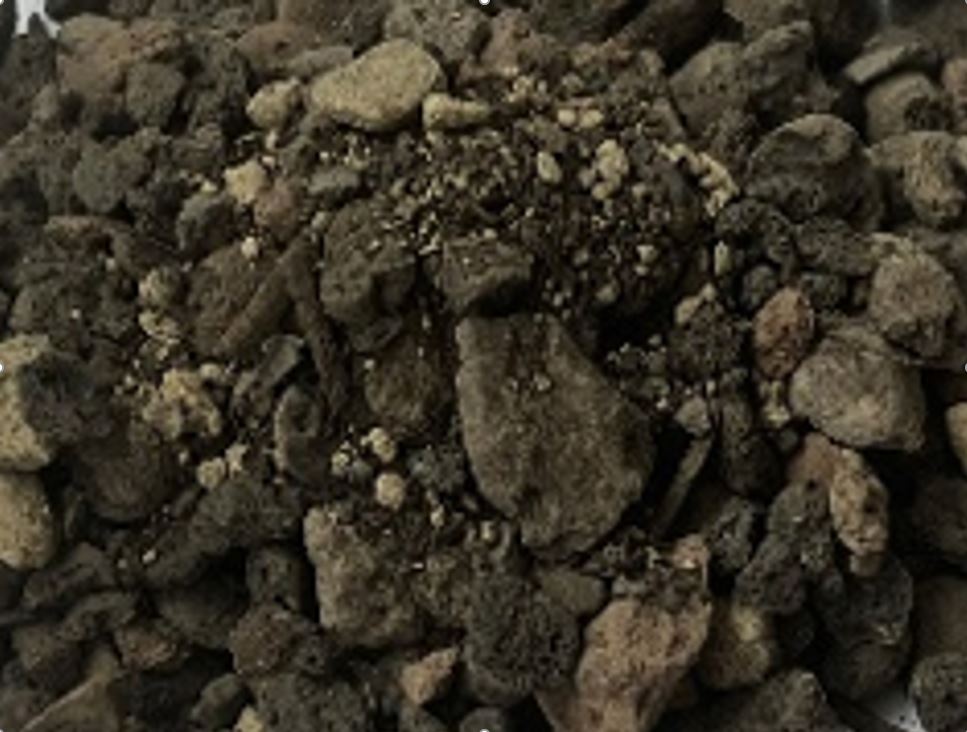 Extensivsubstrat - Image 3