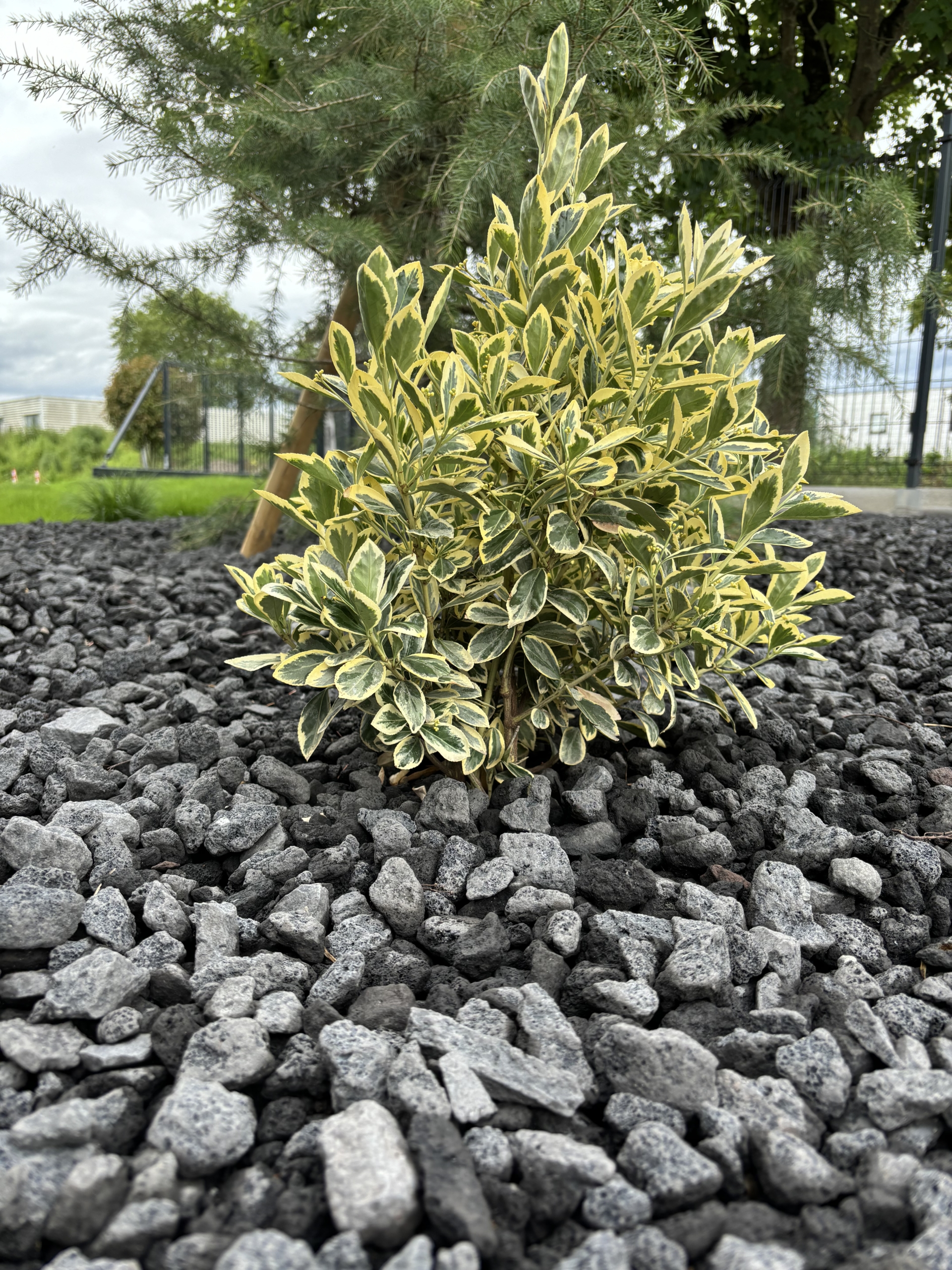 Pouzzolane Anthracite 16-32mm – Image 3