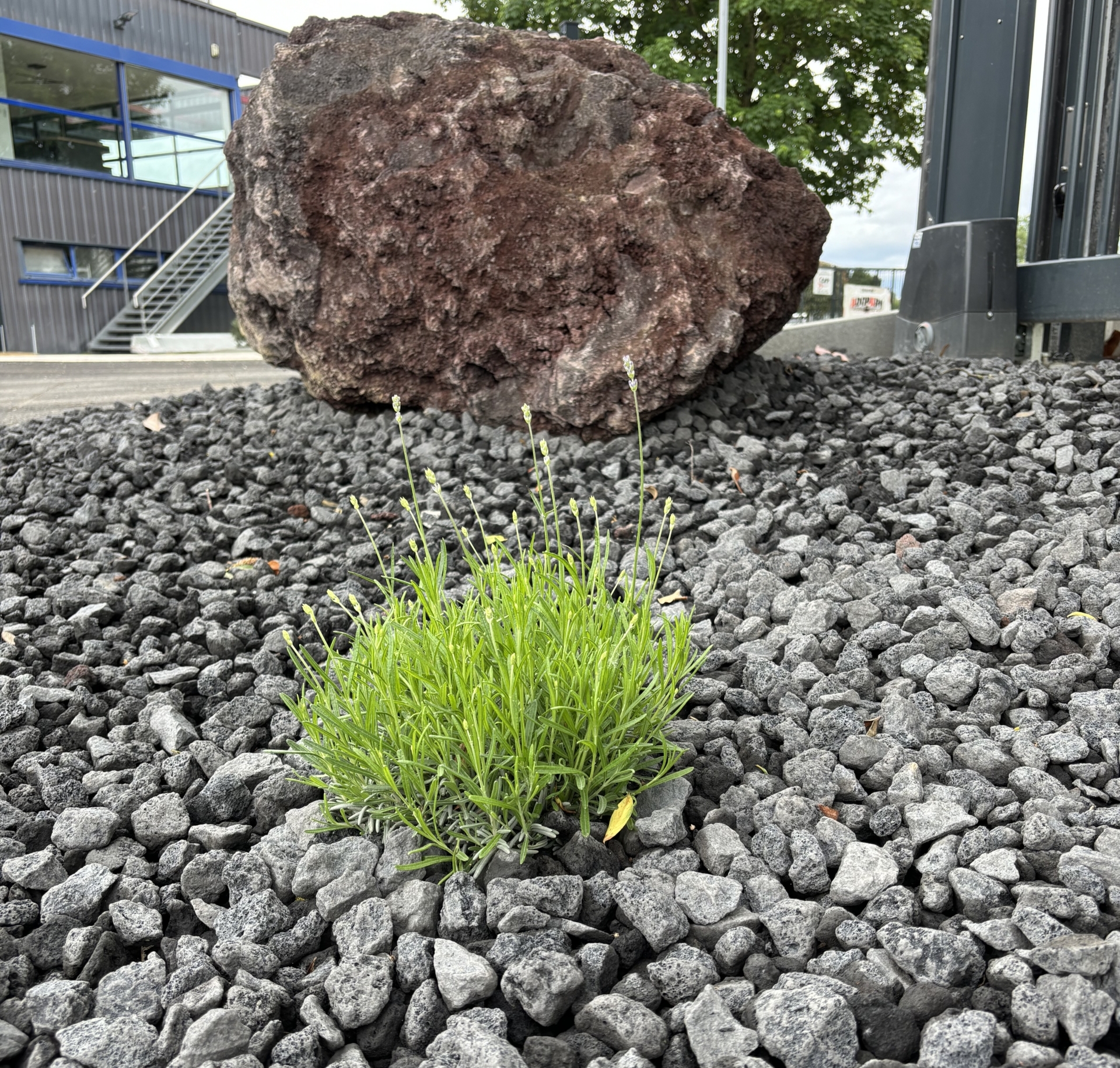 Pouzzolane Anthracite 16-32mm – Image 2